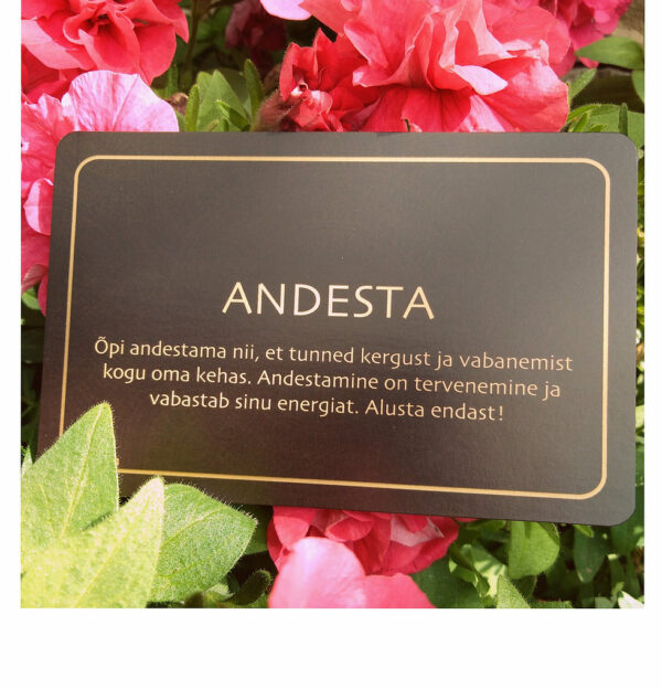 Methodraie Üliteadvuse Kaardid - Image 2